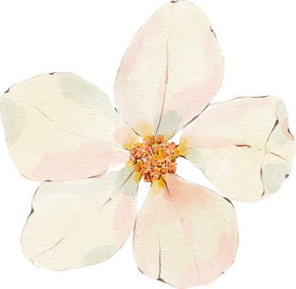 Watercolor white flower